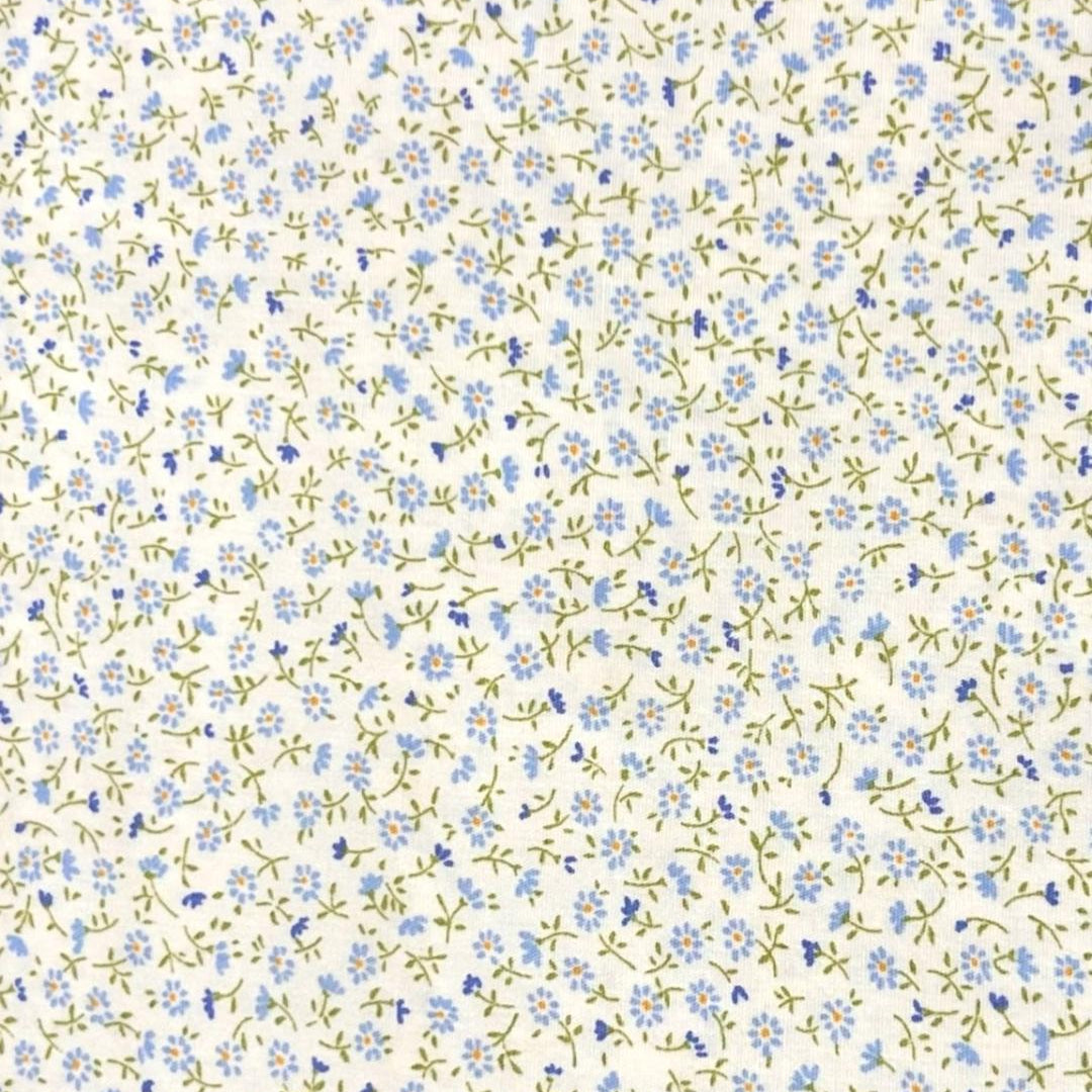 Sevenberry Petite Garden-B6112Z-Light Blue on Cream