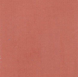 Featherwale Corduroy - Terracotta