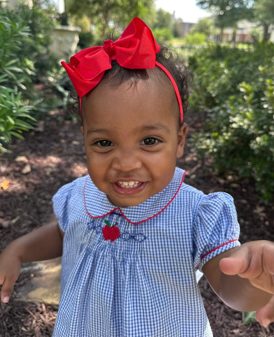 Margeaux's Apple Smocked Dress Kit