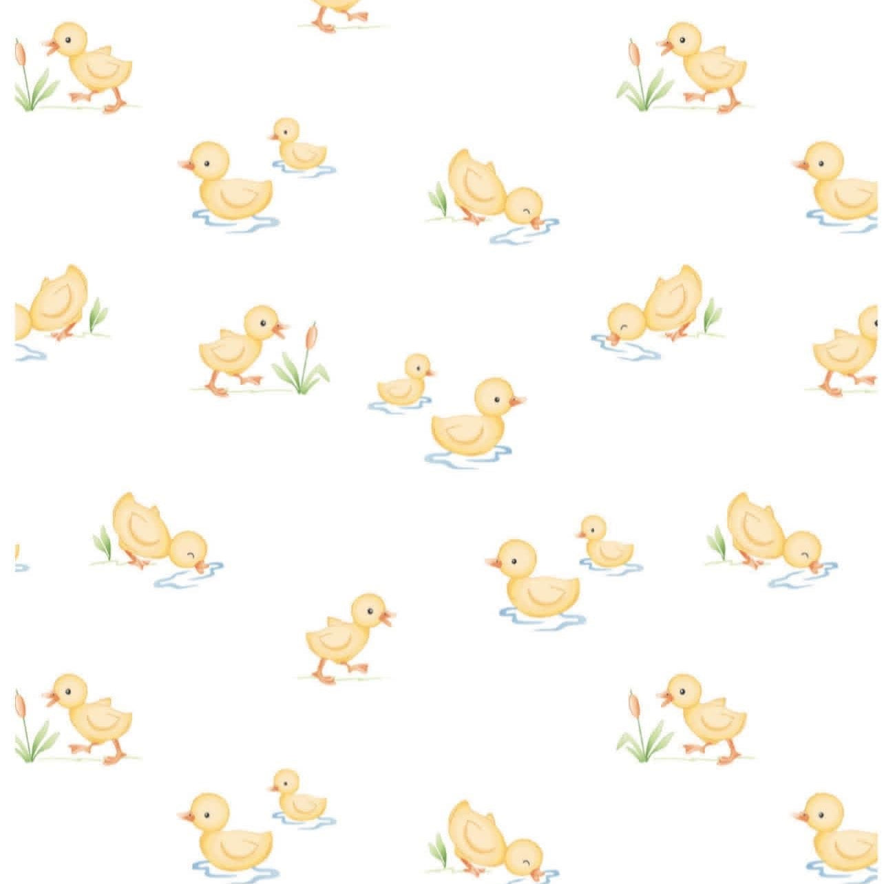 Baby Ducks
