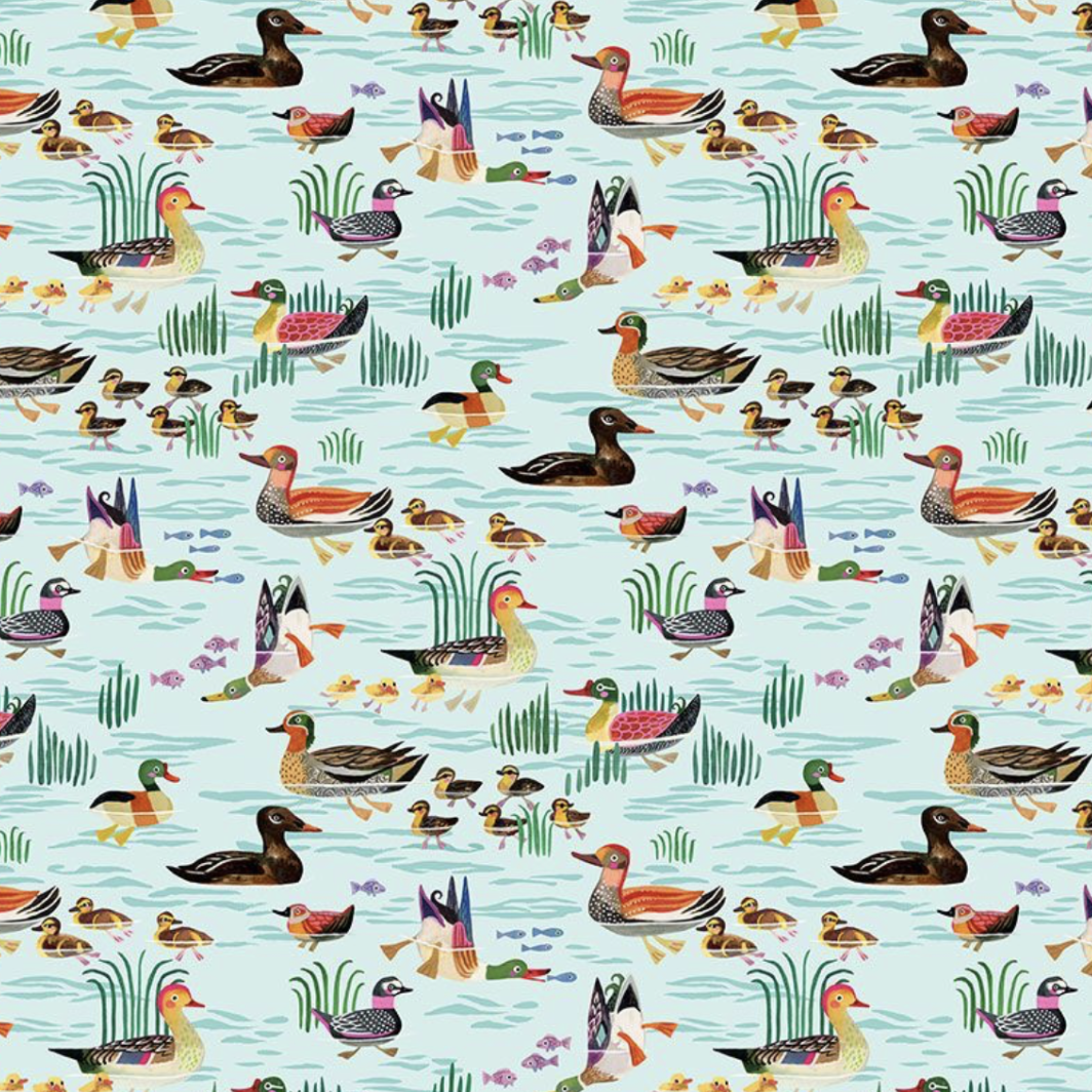 Dear Stella-Ducks in a Row