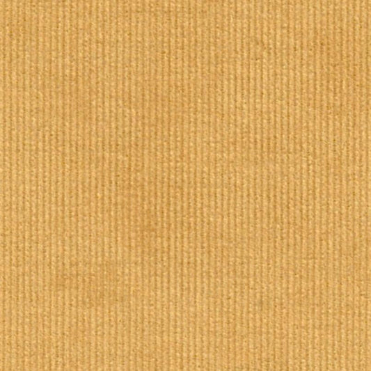 Featherwale Corduroy - Honey