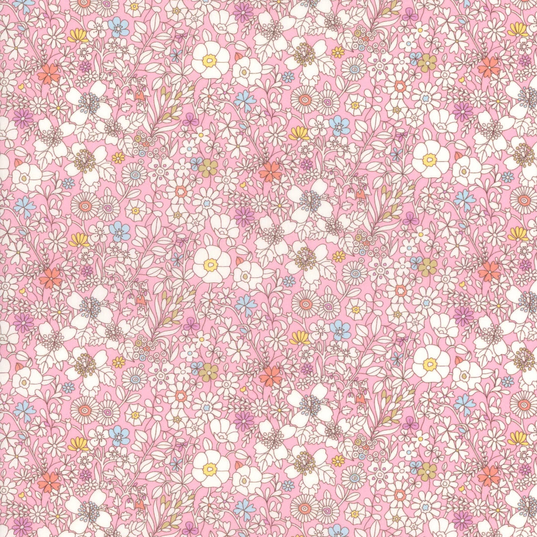 June's Meadow - H