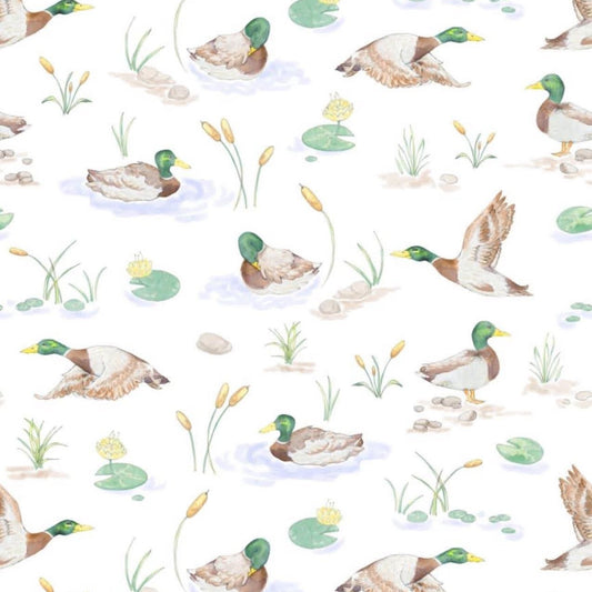 Mallard Ducks