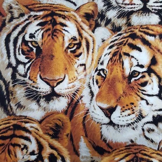 Exclusively Quilters-Tiger Pride
