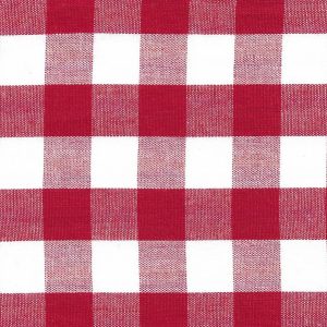 Gingham Check 1/2"-Berry