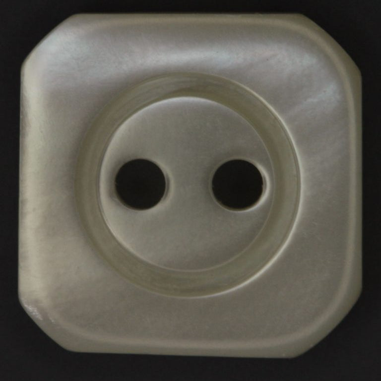 Shell Button-HT1568
