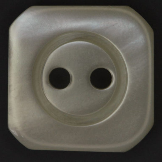 Shell Button-HT1568