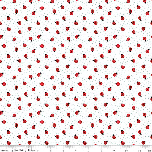 Riley Blake Quilting Cotton-Little Ladybug-Ladybugs-White