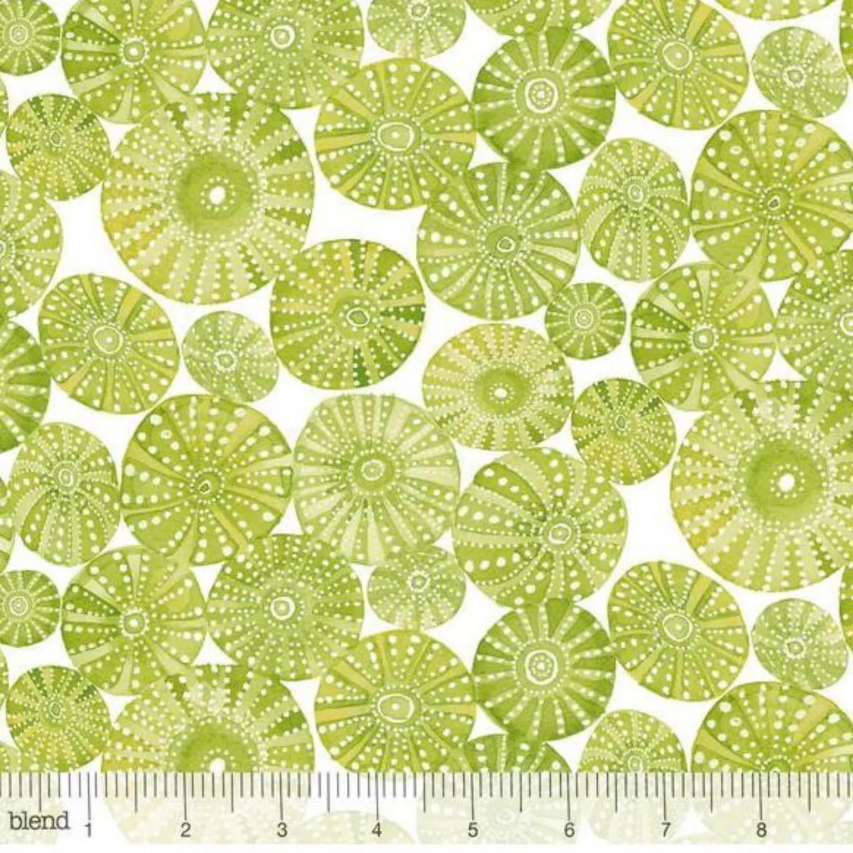 Cori Dantini by Blend Fabrics-Mermaid Days-Sea Urchins-Green