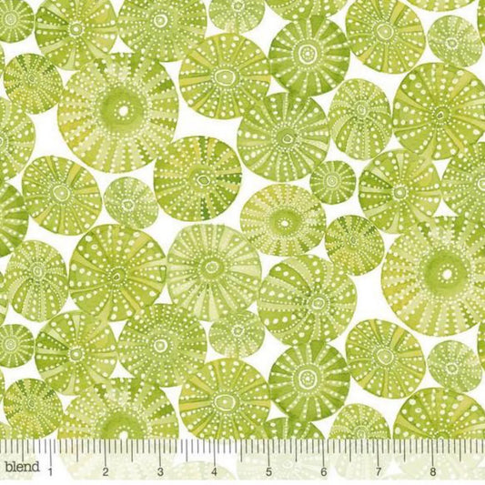 Cori Dantini by Blend Fabrics-Mermaid Days-Sea Urchins-Green